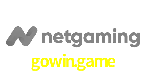 NetGaming